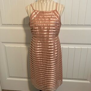 A Pea in The Pod Maternity Pink Champagne Dress Medium